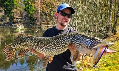 Predator fishing Predator fishing